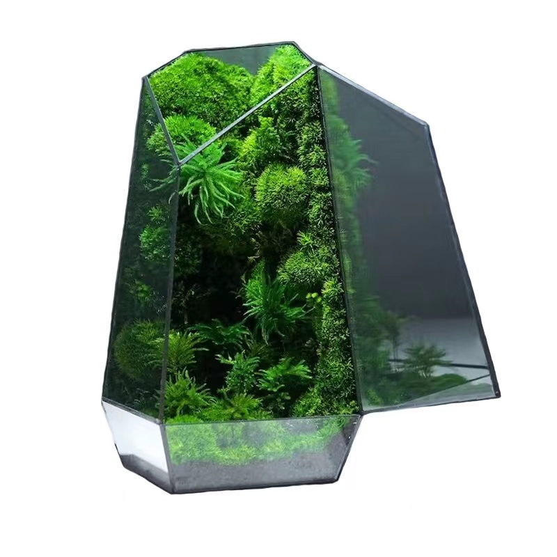 Home Decoration Crafts Creative Miniature Landscape Container Garden Decor Simple Living Room Ornaments Interior Accessories