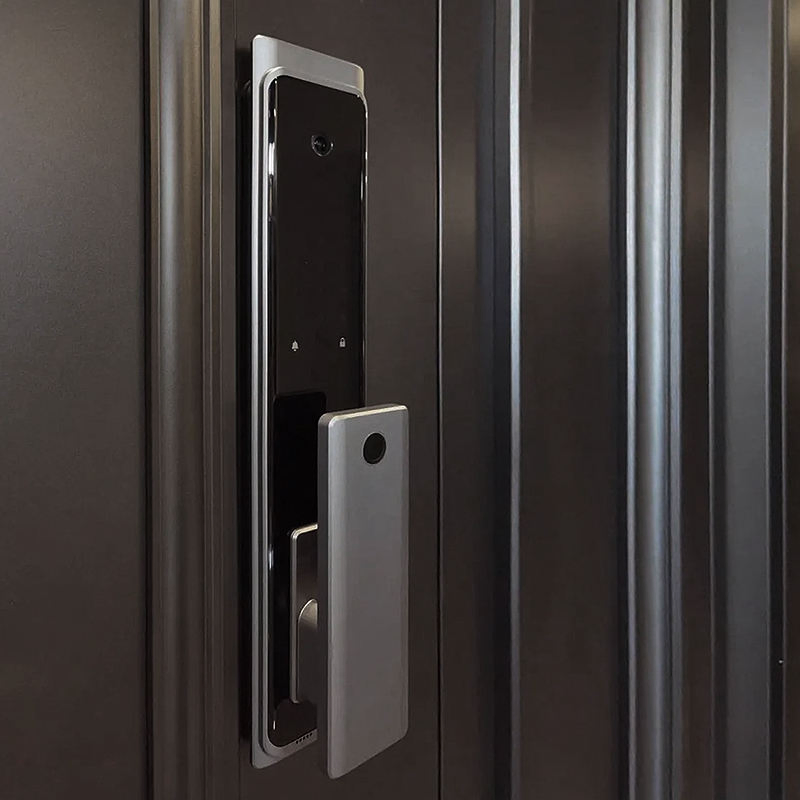 American Luxury Design Modern Home MDF PVC WPC Solid Wooden Veneer Panel Black Walnut Interior Room Door