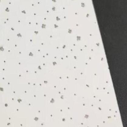 Premium Acoustic Ceiling Solutions with Versatile Custom Mineral Fiber Panels