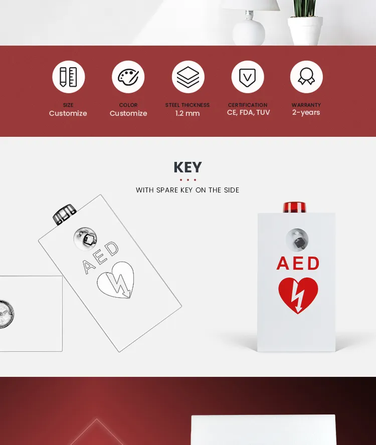 AED Cabinet Detail 4