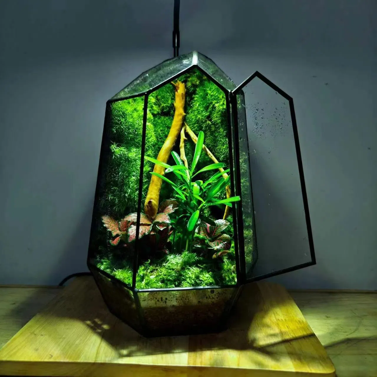 Home Decoration Crafts Creative Miniature Landscape Container Garden Decor Simple Living Room Ornaments Interior Accessories