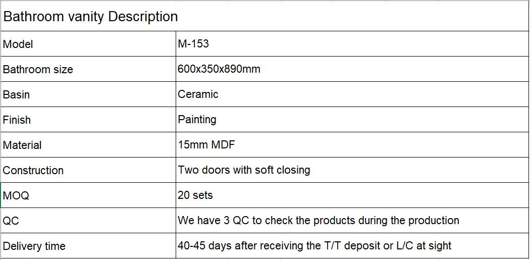 Modern Bathroom Vanity