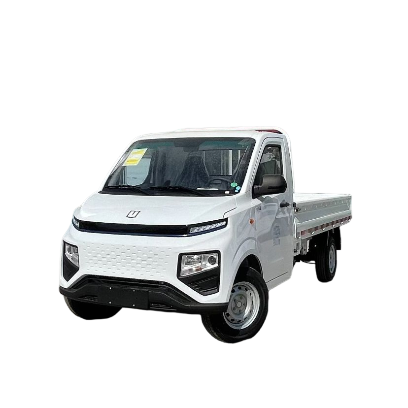 Electric Truck EV Truck EV Mini Pickup Geely Farizon