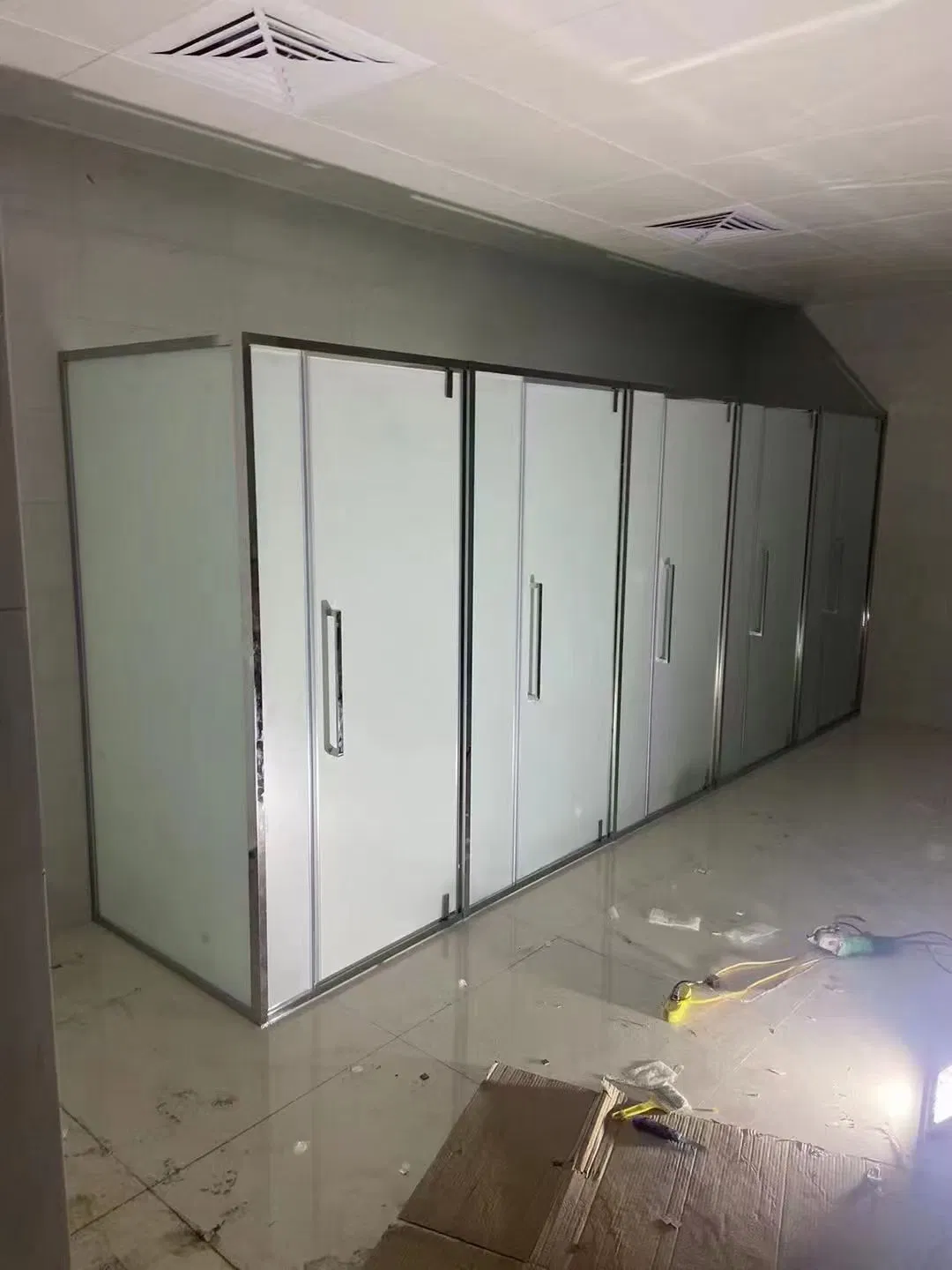 Modern Double Sliding Glass Bathroom Enclosure Shower Door Solution