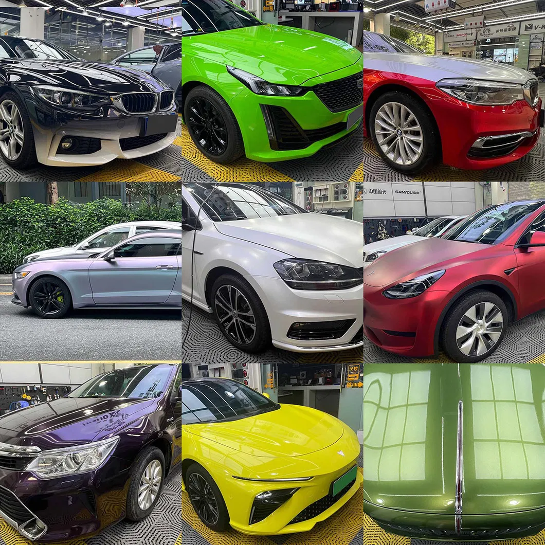 Chameleon Car Wrap View 1