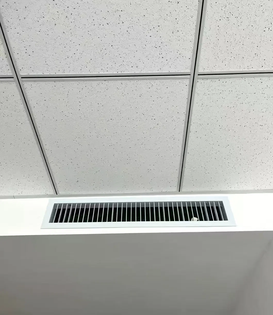 Ceiling Grid System 6