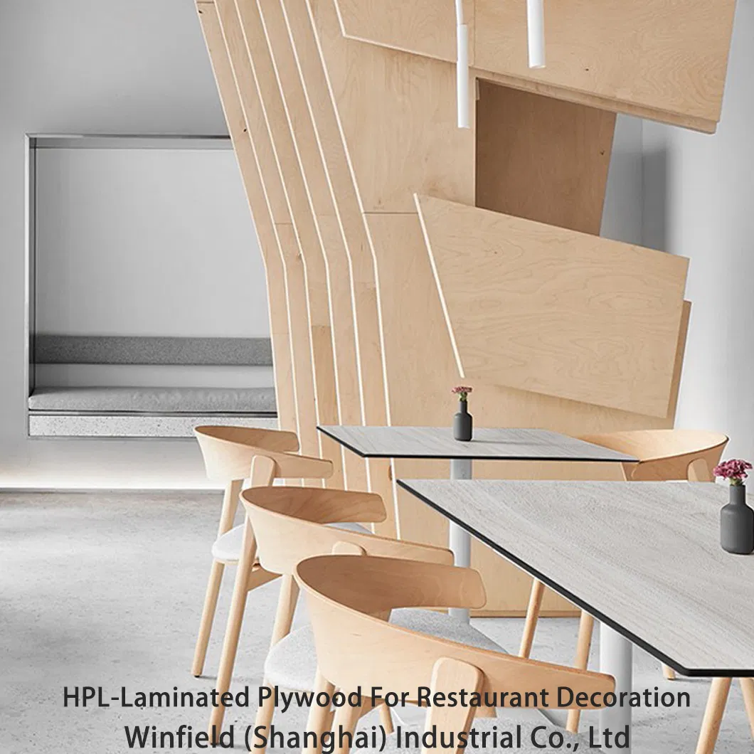 High Pressure Laminate Plywood: Antibacterial and Water-Resistant Solution