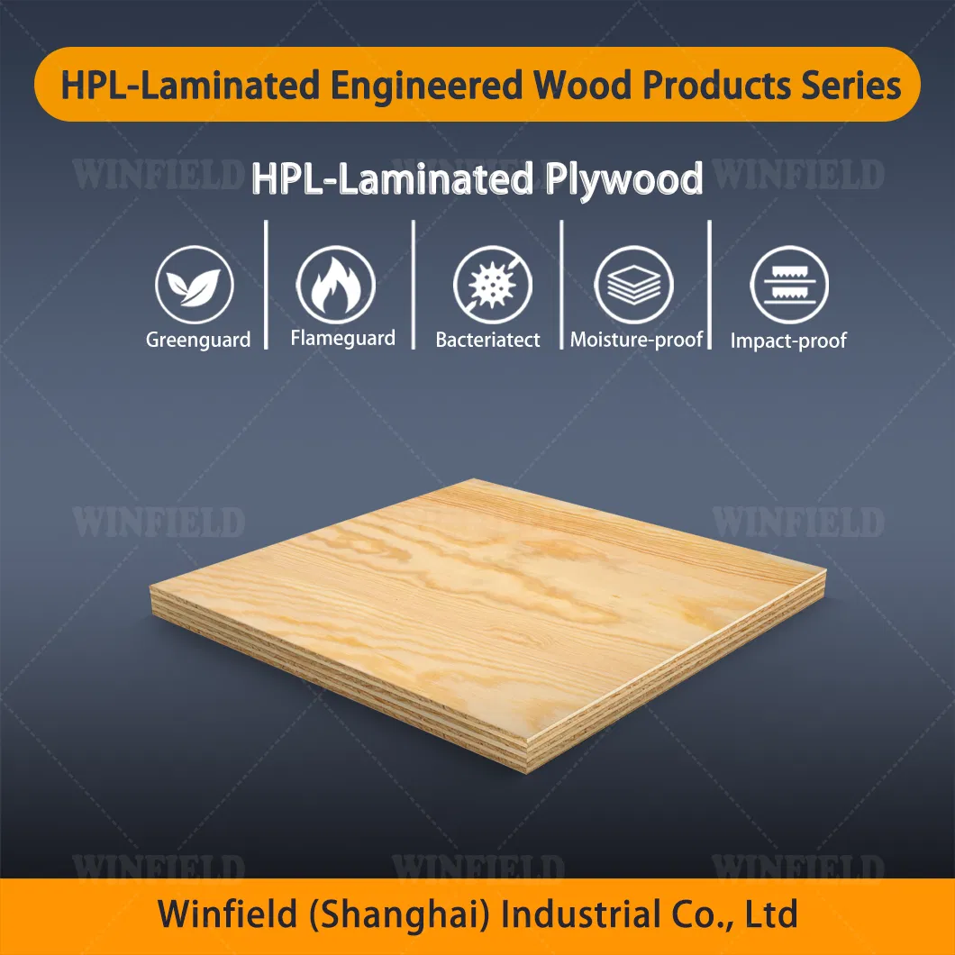 High Pressure Laminate Plywood: Antibacterial and Water-Resistant Solution