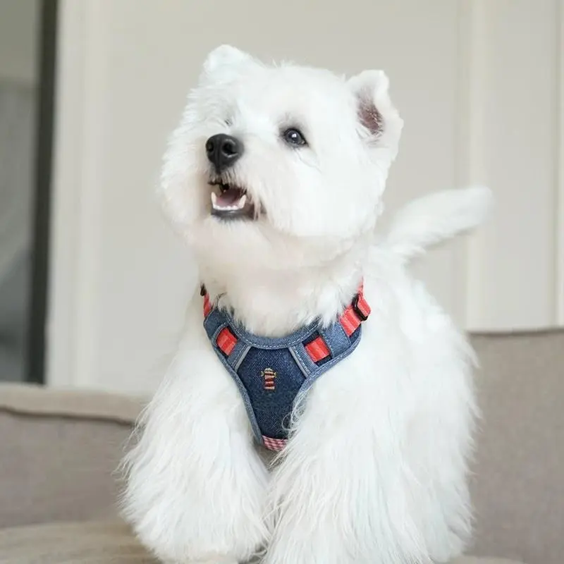 China Specialty Dog Harnesses Procurement / OEM / Supply Chain Manufacturers, Manufacturer