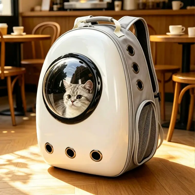 Wholesale Cat Backpacks Procurement / OEM / Supply Chain Service, Company