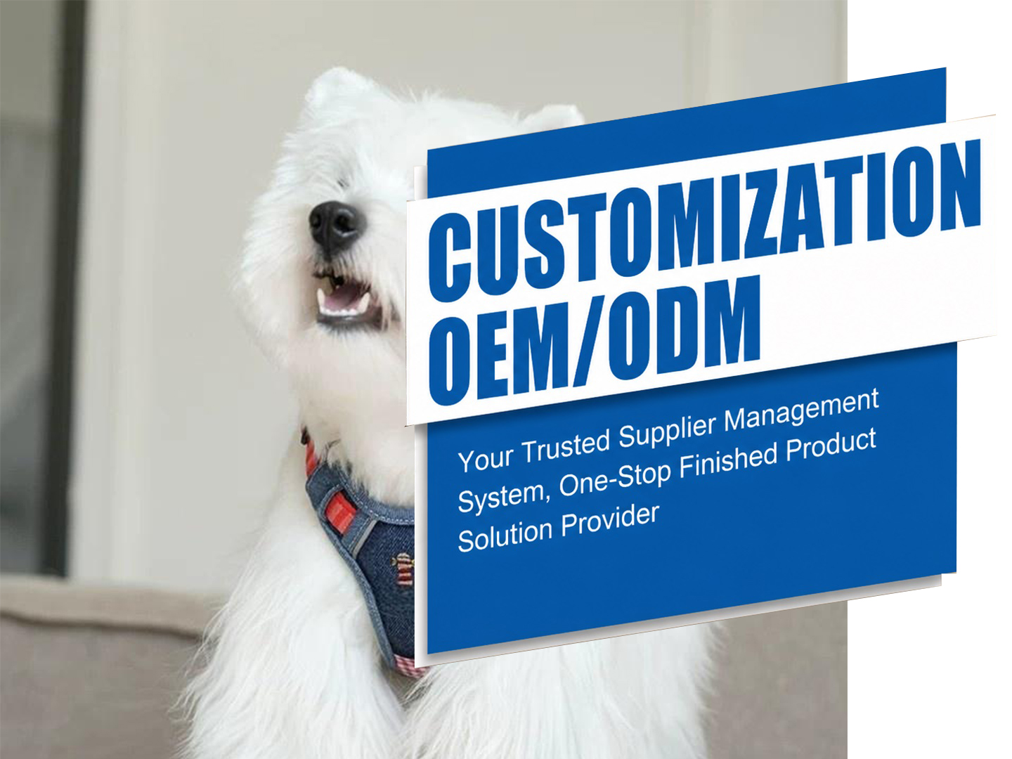 Specialty Dog Harness Sourcing and Manufacturing