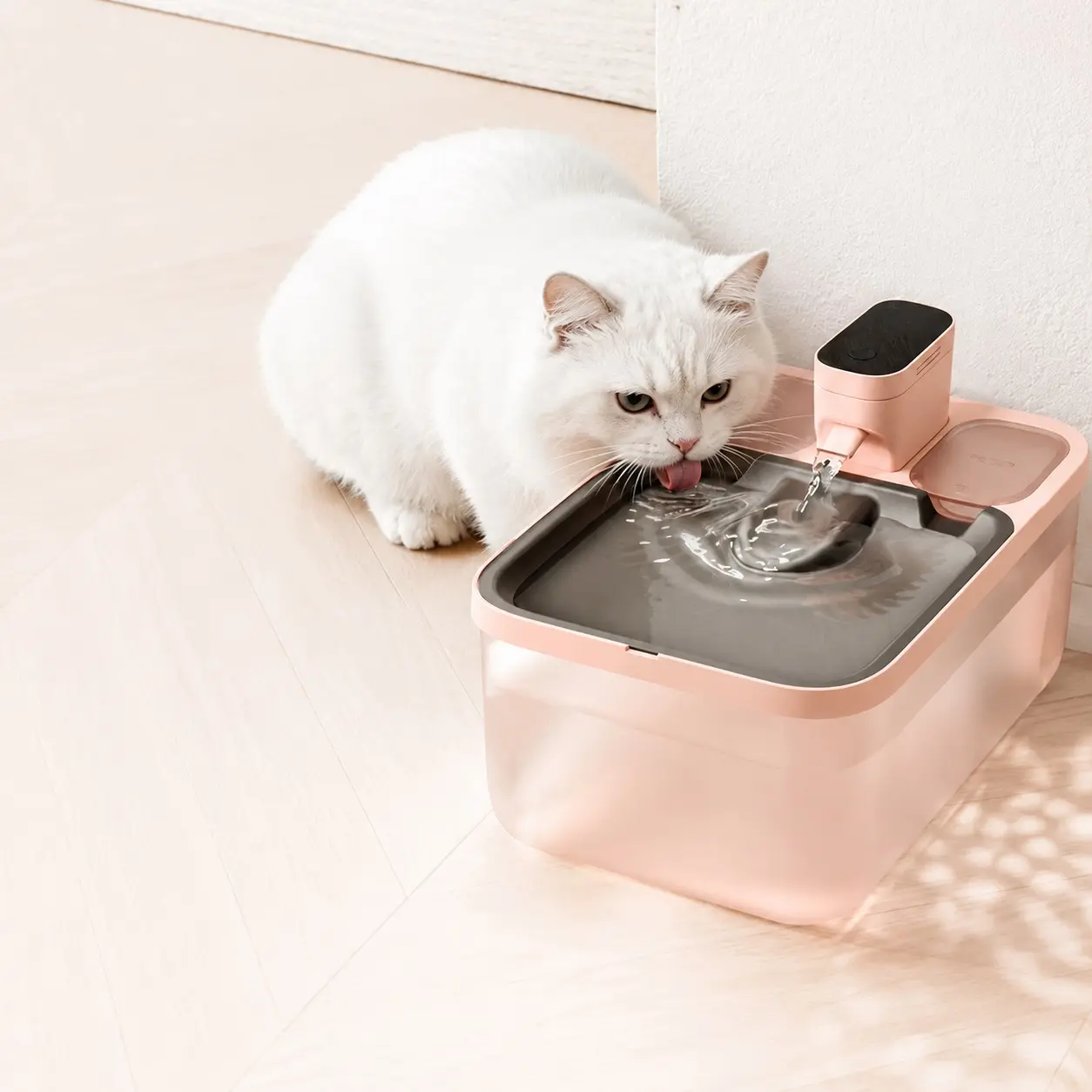 China Smart Pet Water Fountains Procurement / OEM / Supply Chain Manufacturer, Company