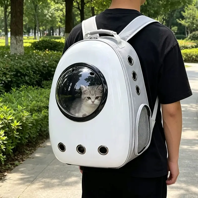 Wholesale Cat Backpacks Procurement / OEM / Supply Chain Service, Company