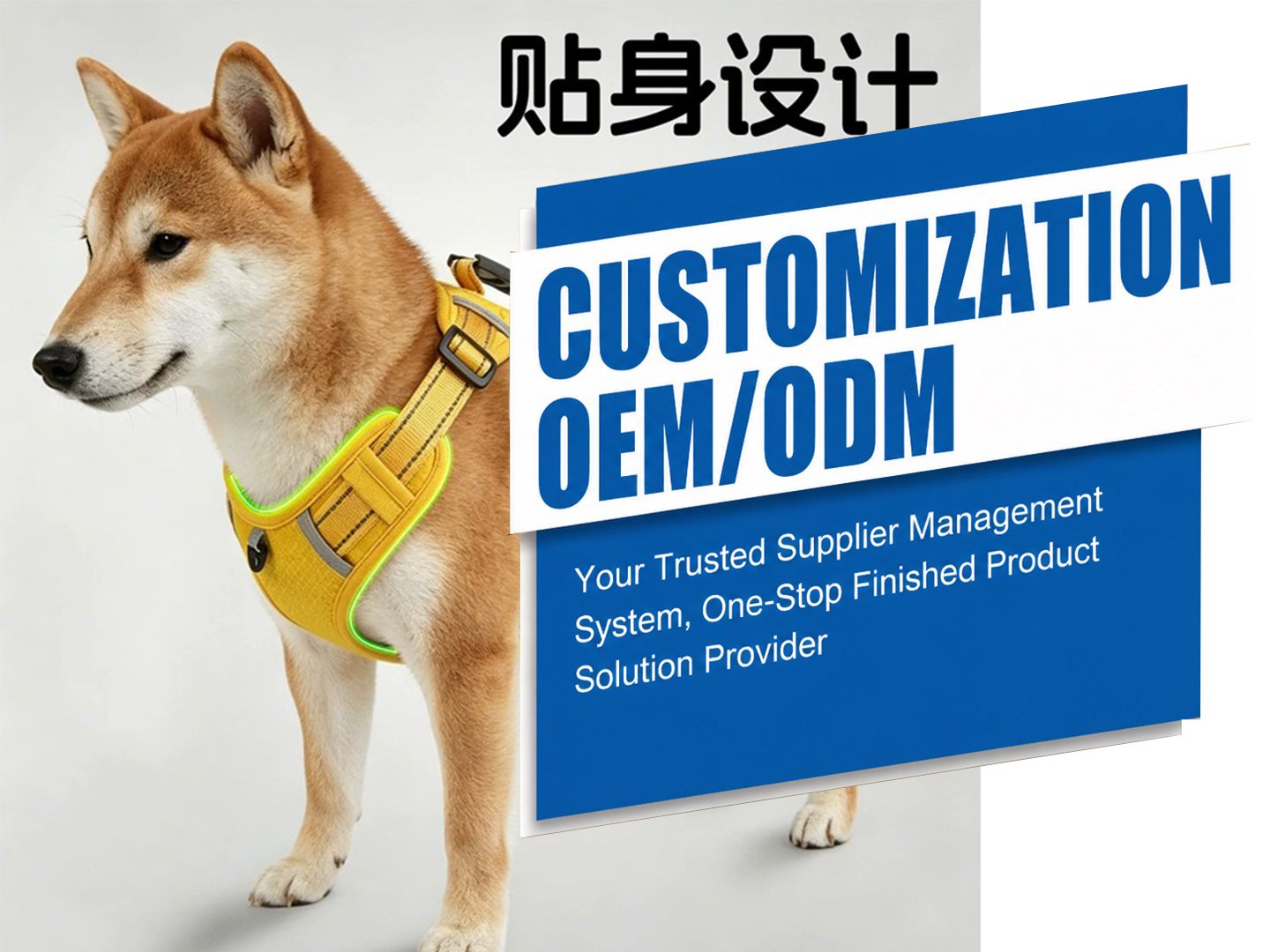 Pet Harnesses Supply Chain Services