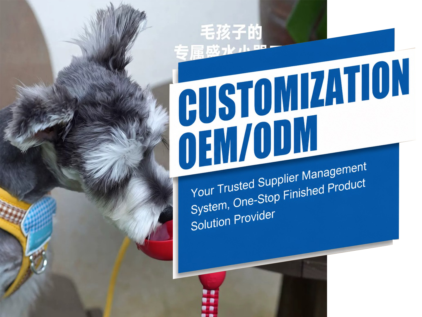 Portable Pet Water Bottles Sourcing