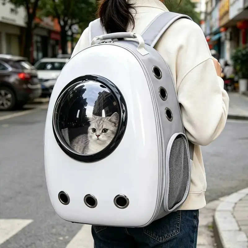 Wholesale Cat Backpacks Procurement / OEM / Supply Chain Service, Company