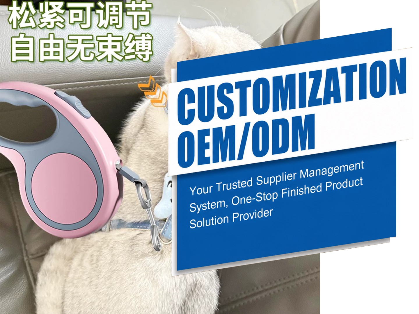 Pet Leashes Supply Chain Services
