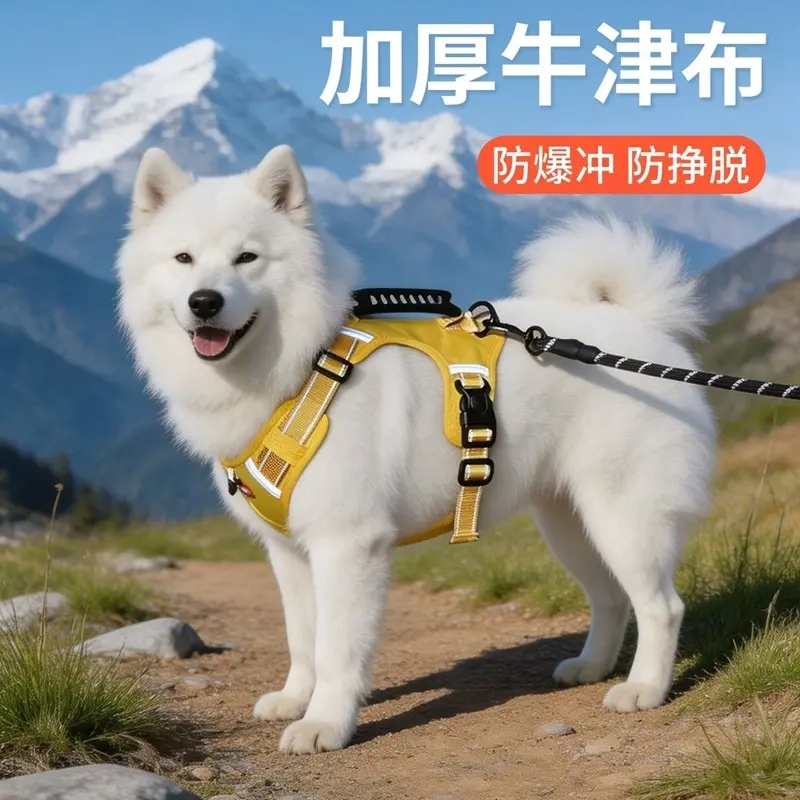 China Pet Harnesses Procurement / OEM / Supply Chain Manufacturers, Company