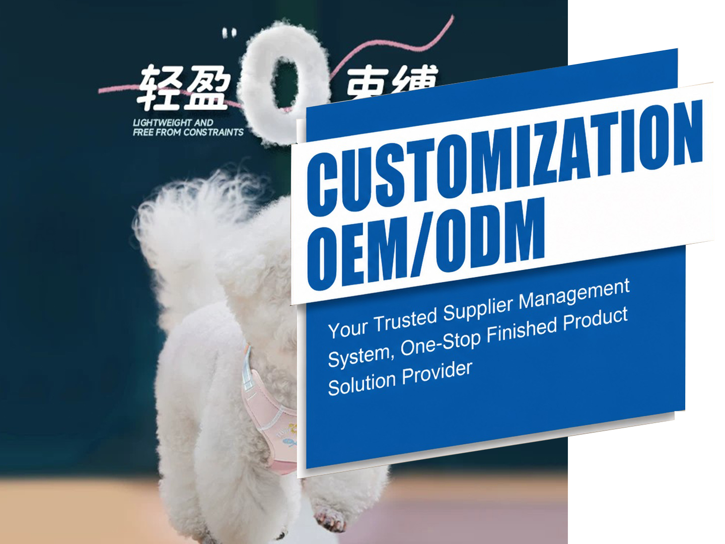 Dog Harnesses Supply Chain Services