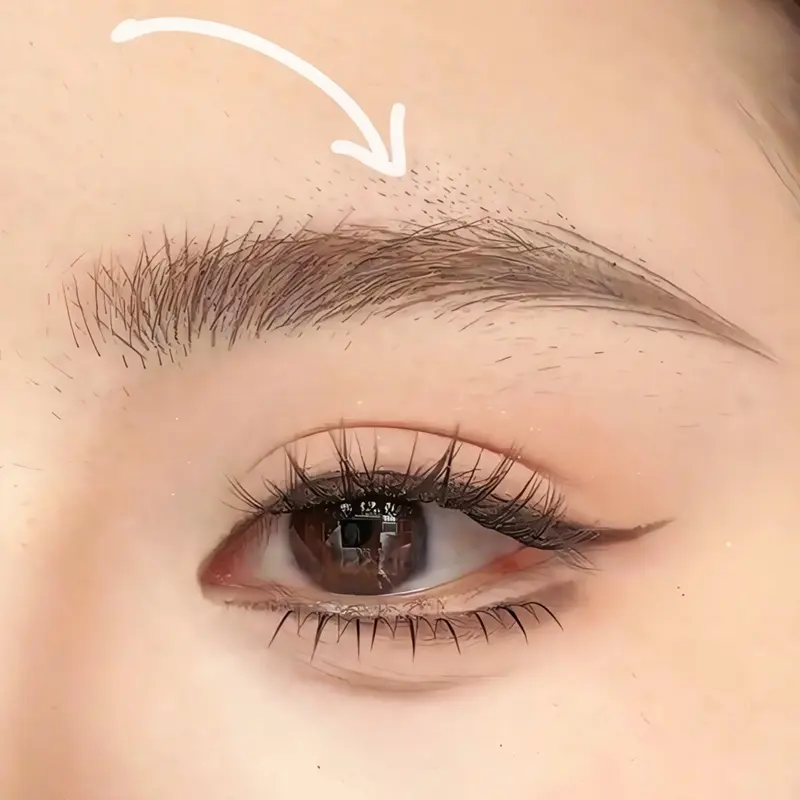 China Eyebrow Pencils Procurement / OEM / Supply Chain Suppliers, Manufacturers