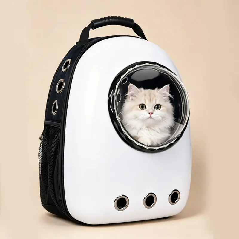 Wholesale Cat Backpacks Procurement / OEM / Supply Chain Service, Company