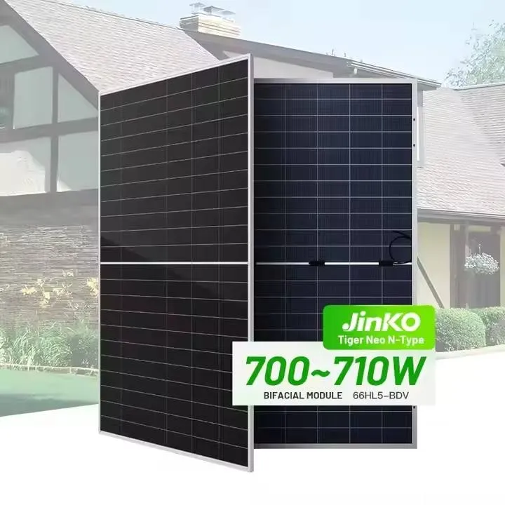 Bifacial Solar Panel