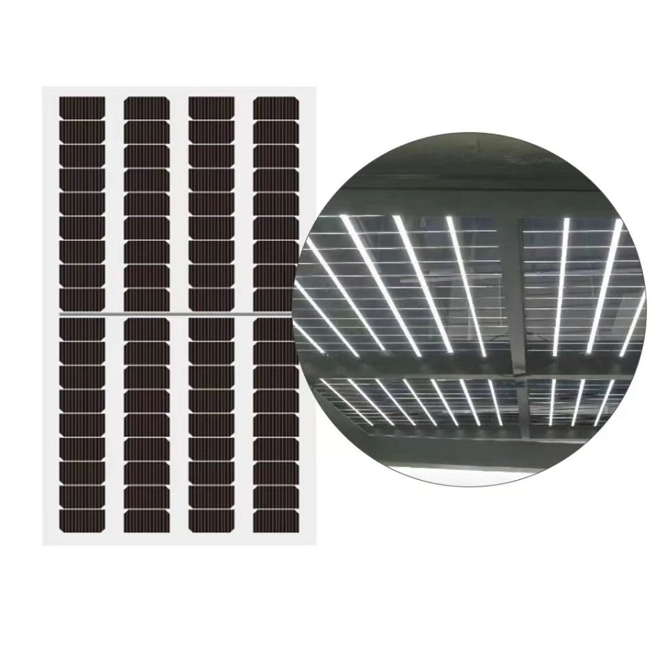 Raytech 40% Transparent Solar Panel 215W 220W 360W 370W BIPV for Sunroomsyatem