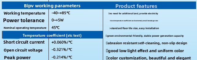 Cadmium Telluride Photovoltaic Panel 4