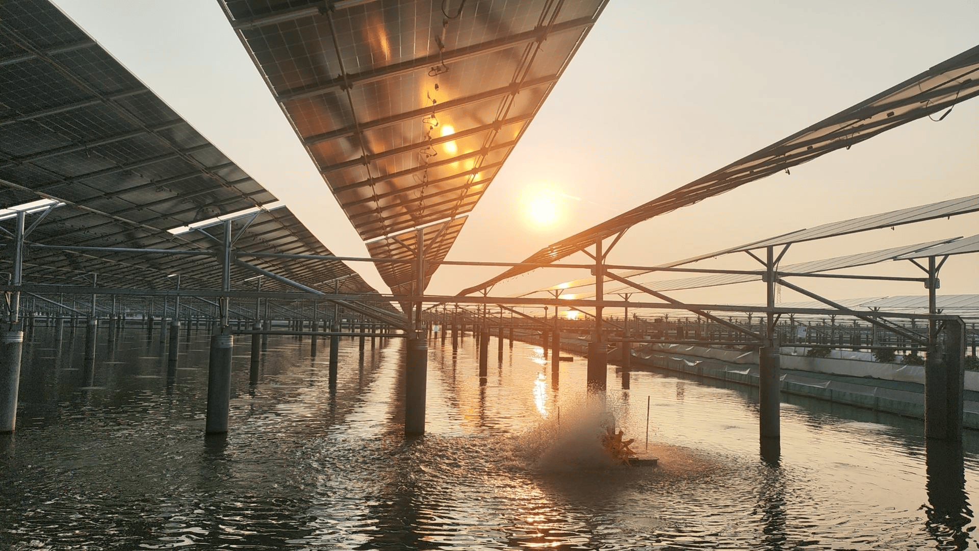 Solar Project Installation 3