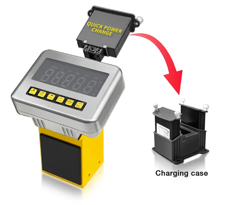 Battery System Detail