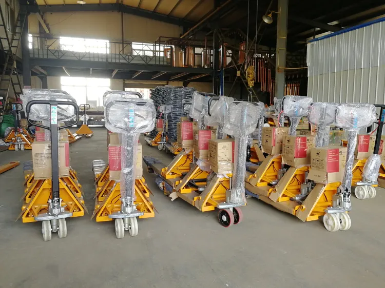 Manual Hand Pallet Truck