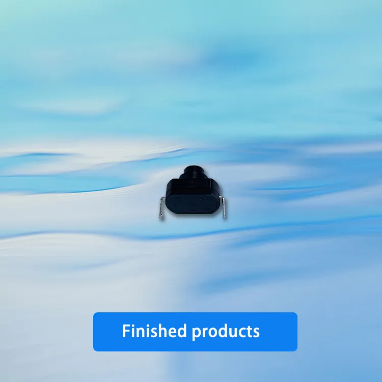 Switch Assembly Mechanism