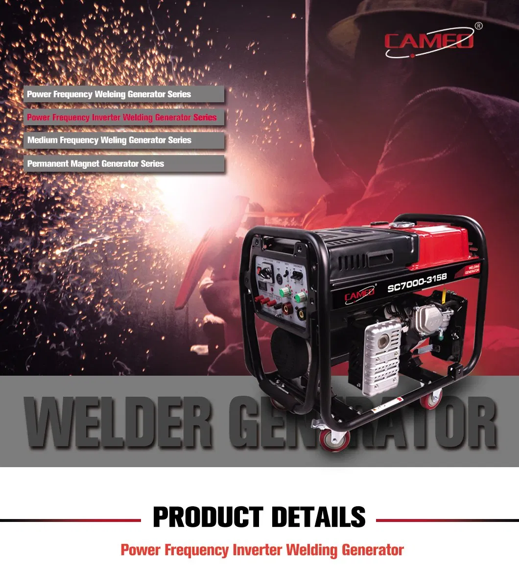 Diesel Engine Driven Welder