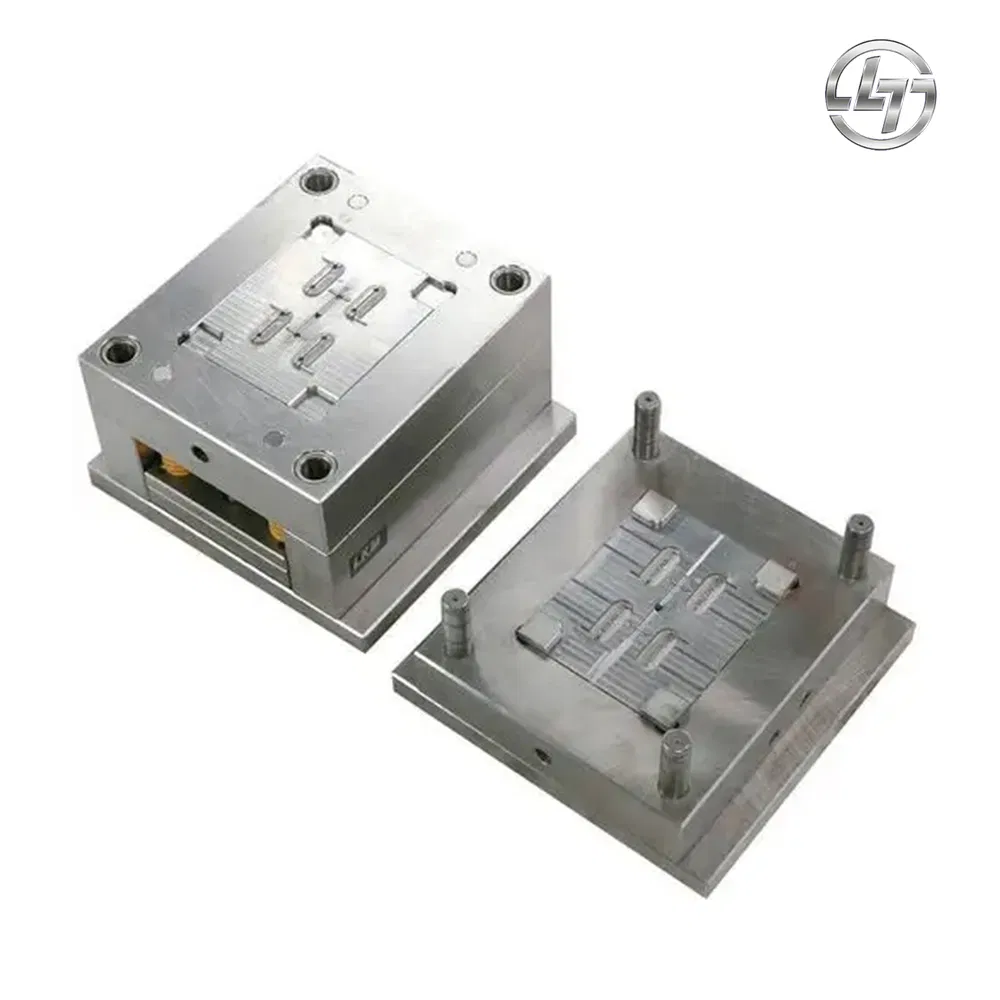 Custom Made Double Colors Plastic Injection Housing Mold