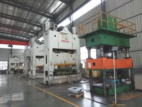 Professional Stamping Die