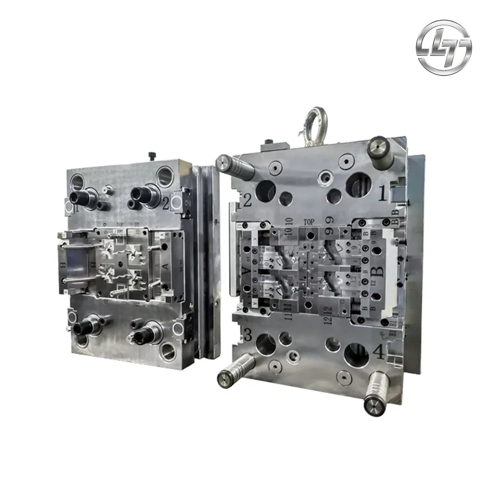 Custom Made Double Colors Plastic Injection Housing Mold