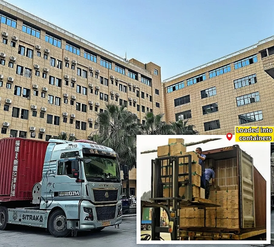 ستريت وير 100% جاكيت بومبر مطبوع من البوليستر أسود شتوي غير محدد الجنس معطف مبطن للرجال