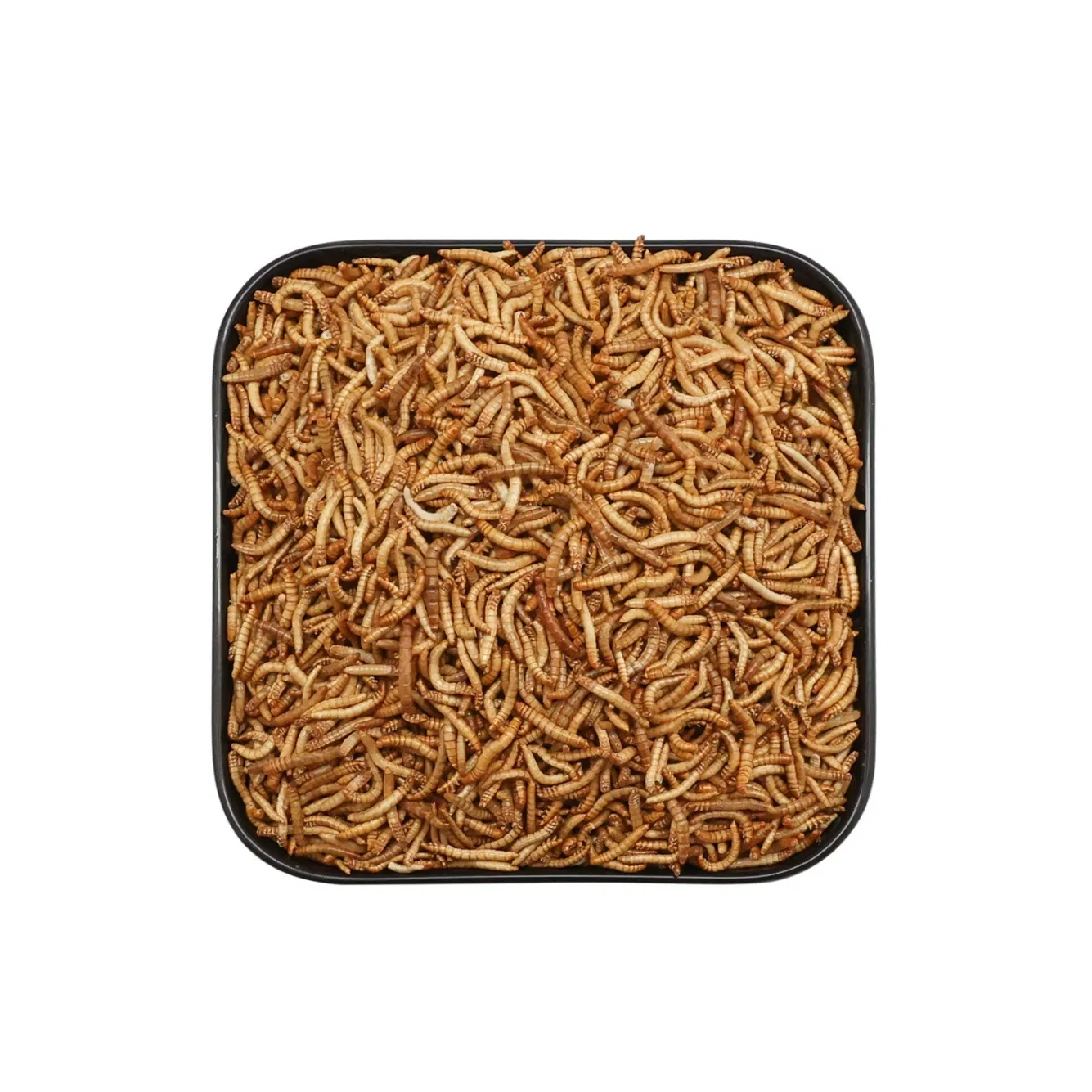 Duck Meat Collection Wholesale Cat Dog Animal Food Freeze Dried Pet Treats Snacks for Pet Foods Manufacturers