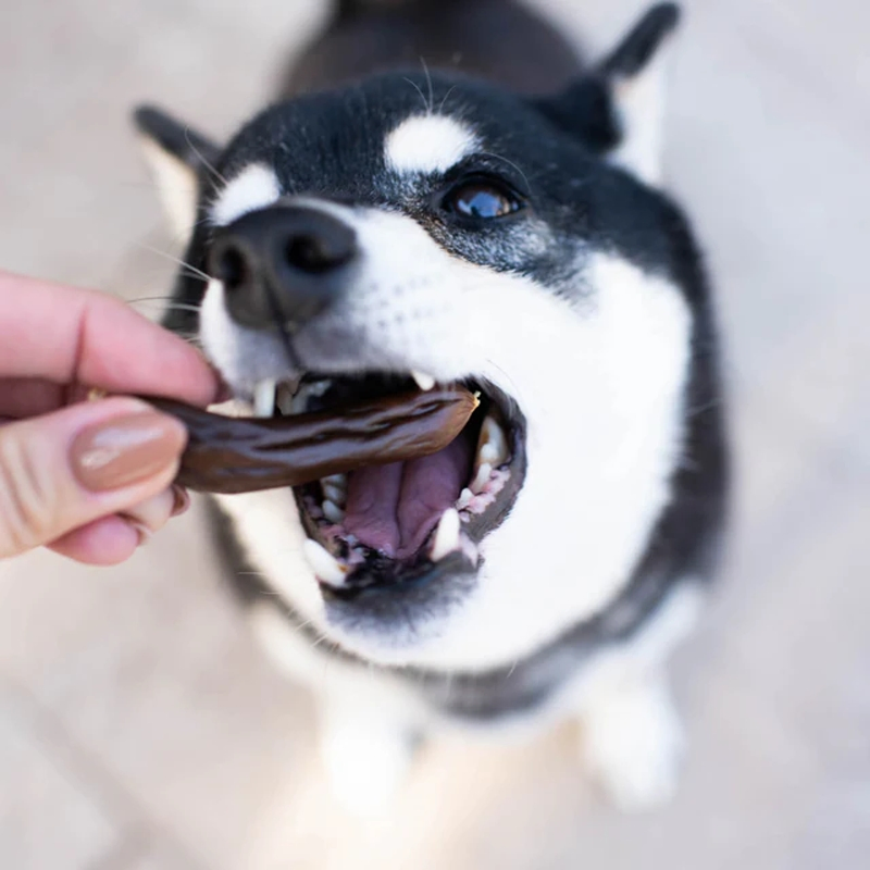 Slow Roasted Beef Sausage Soft &amp; Chewy Dog Treats