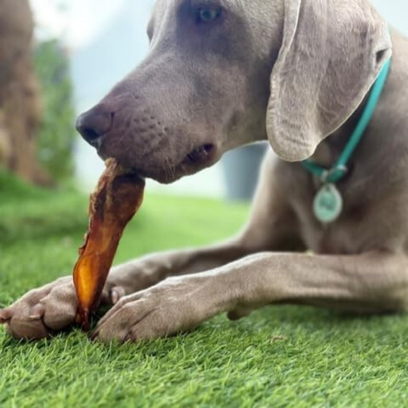 Manufacture OEM/ODM, Natural Snacks - Rabbit Ears 35.3oz (1000g) Dog Treats