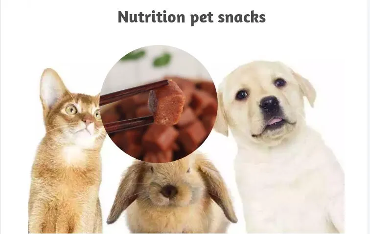 Pet Treats Healthy Functional Training Reward