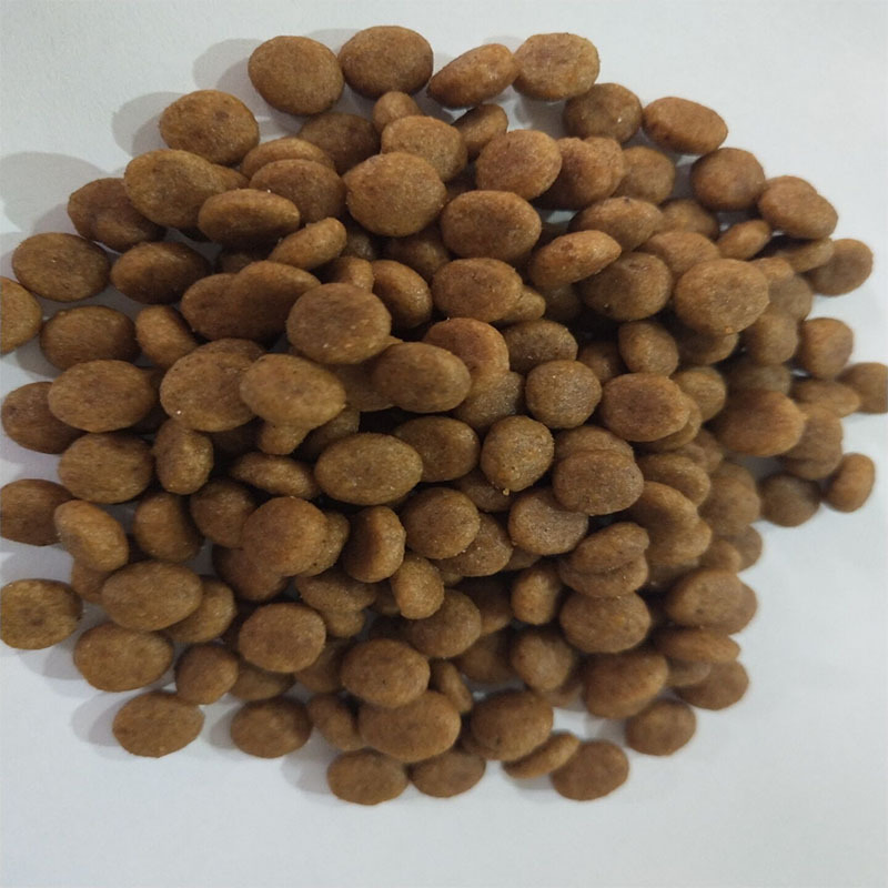 Premium Puppy Kibble for Healthy Digestion and Growth Support