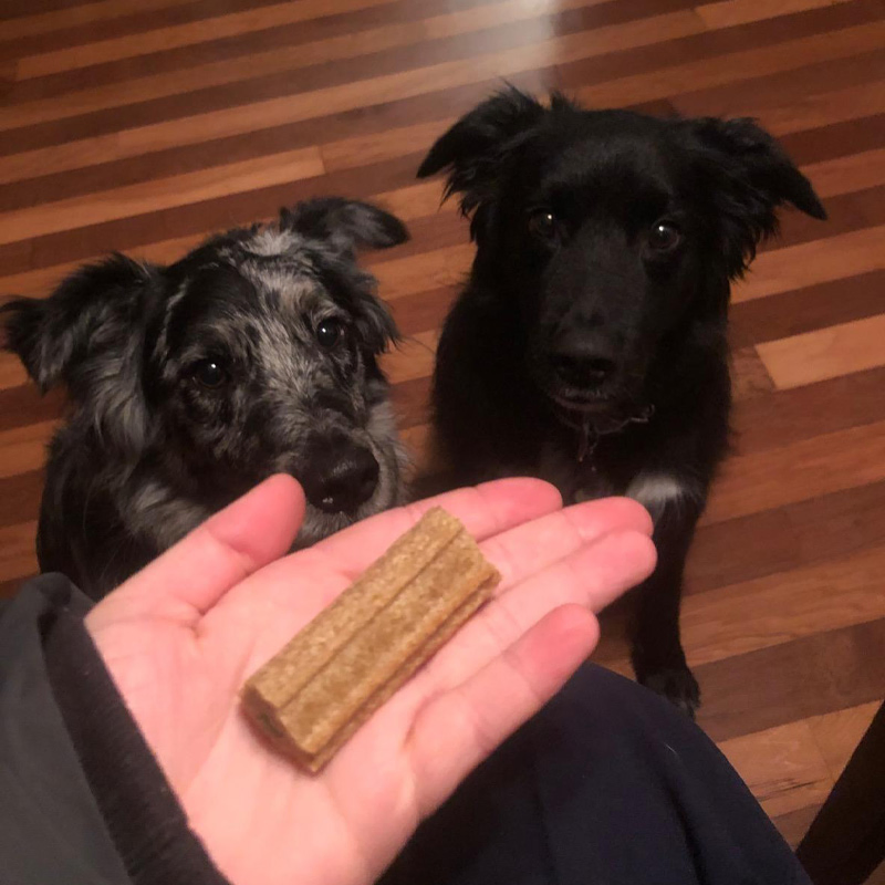 Chewy Dental Treat Chicken Flavor 15.5oz (439g) Dog Treats