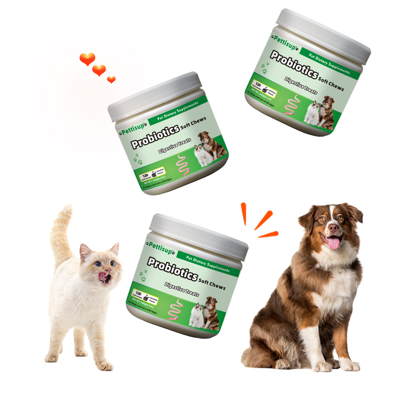 Custom Factory Probiotic Nutritional Cat Supplement Digestive Support Sensitive Stomach OEM
