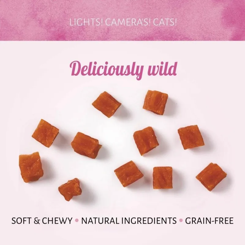 Cubed Salmon Flavor Soft Cat Treats View 1