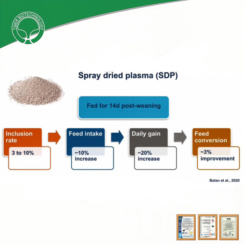 Spray Dried Plasma Protein for Pet Food - Natural Palatability Enhancer &amp; Functional Ingredient
