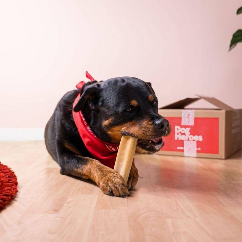 Manufacture OEM/ODM, Yak Milk for Dogs - Relaxing and Durable 2.4-2.8oz (68-80g) Dog Treats