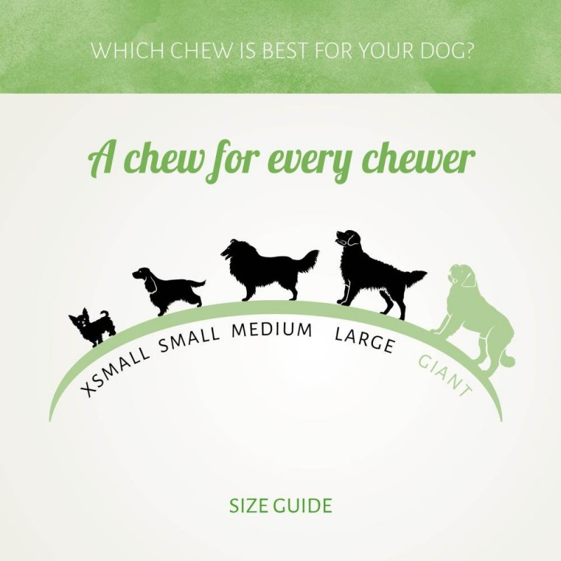 Pure Natural Flags Gold Strips 3.5oz (100g) Dog Treats