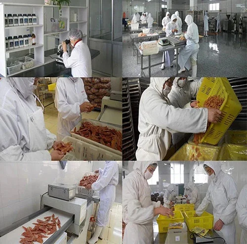 Guangzhou Curipaw Pet Co. Ltd. Factory Overview