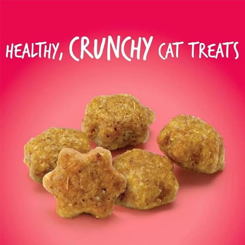 Cat Treat Biscuit 3